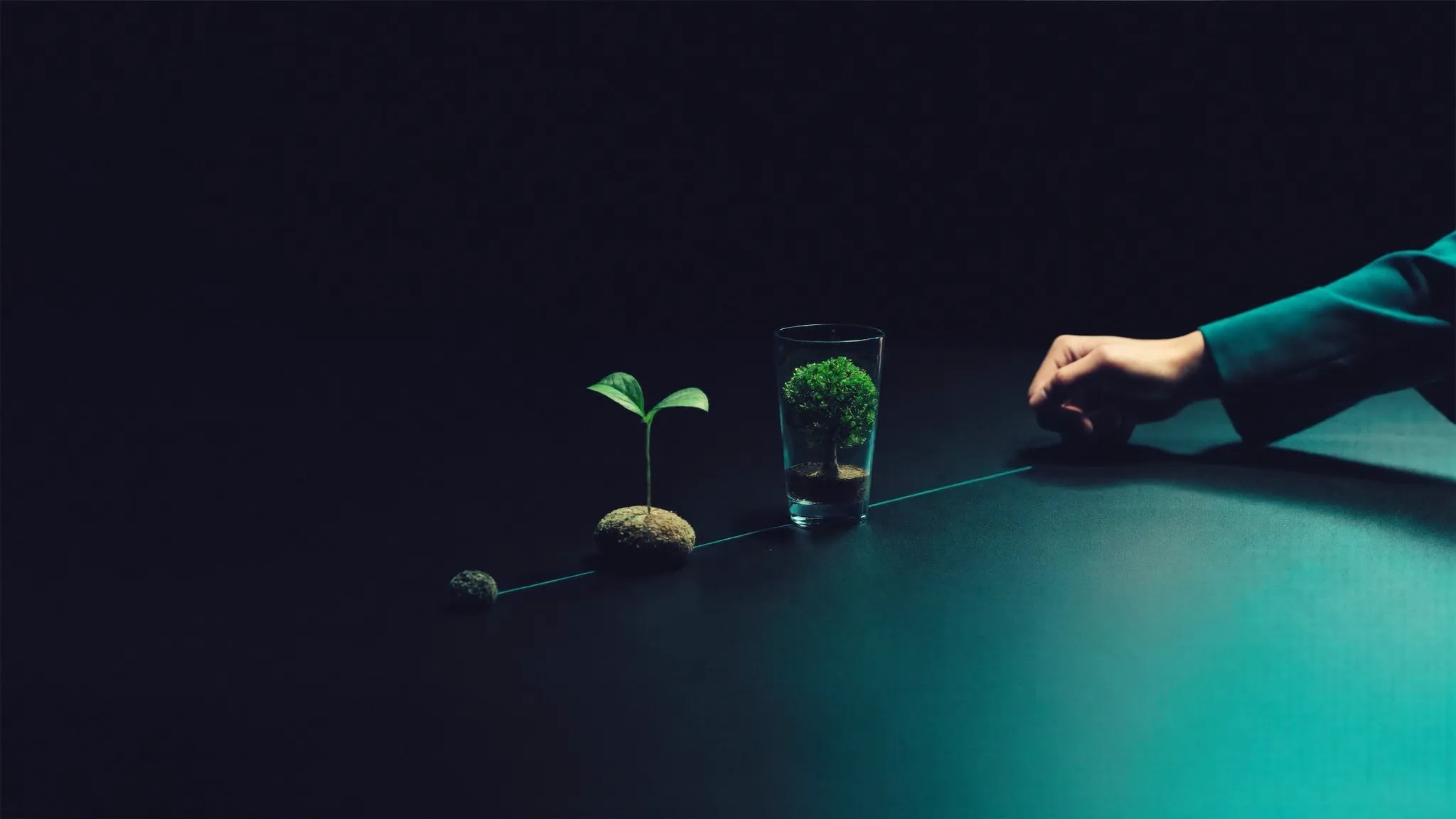 Dal seme alla stretta di mano: cosa fa davvero un business developer